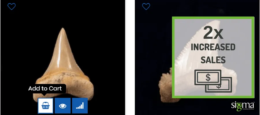 Buried Treasure Fossil Digital Transformation