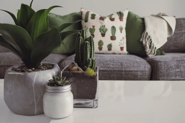 US-based store for home furnishings