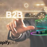 Unleashing the Power of B2B eCommerce