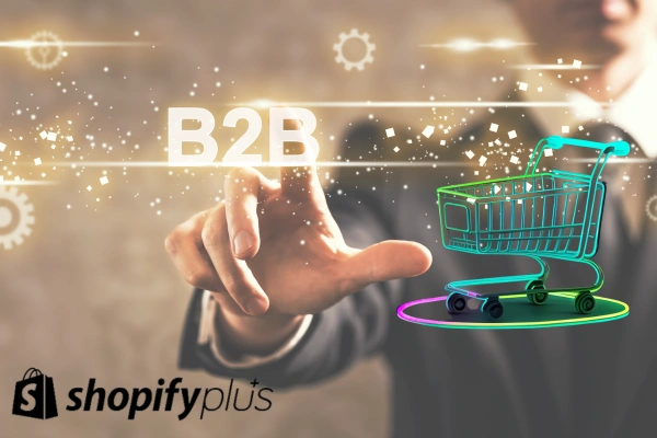Unleashing the Power of B2B eCommerce