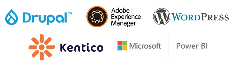 Web-Content-Management