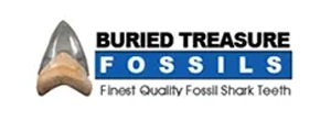Buried Treasure Fossils