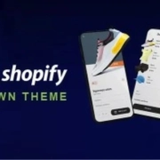 Shopify Theme