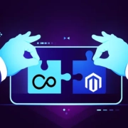 Adobe Commerce & Pimcore Integration