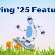 Salesforce Spring '25