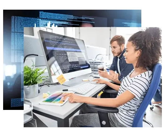 Custom Development Services