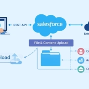 Salesforce File Upload Explained Architecture, Object Relationships, and External Integration via REST APIs - Sigma