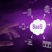 Modular SaaS Architecture Can Speed Up Your Time to Market.